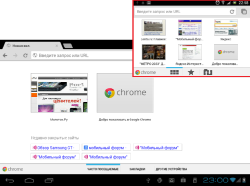  Google Chrome