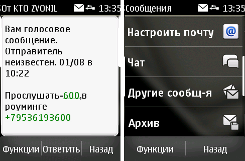  Nokia Asha 300: