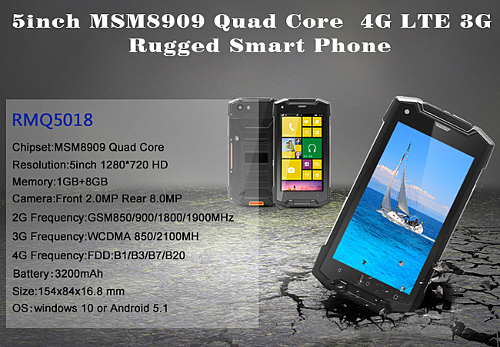  : RMQ5018    LTE- 