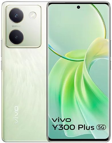 :  vivo Y300 Plus  Snapdragon 695, 50     5000 