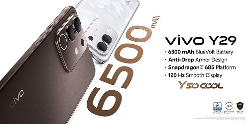 : Vivo Y29 4G   6500    