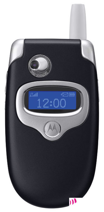   Motorola 