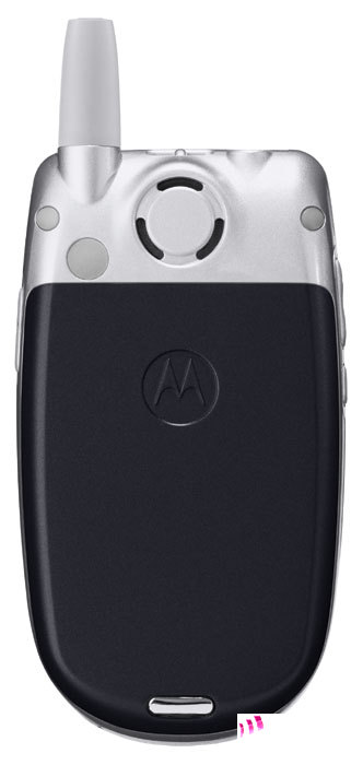   Motorola 