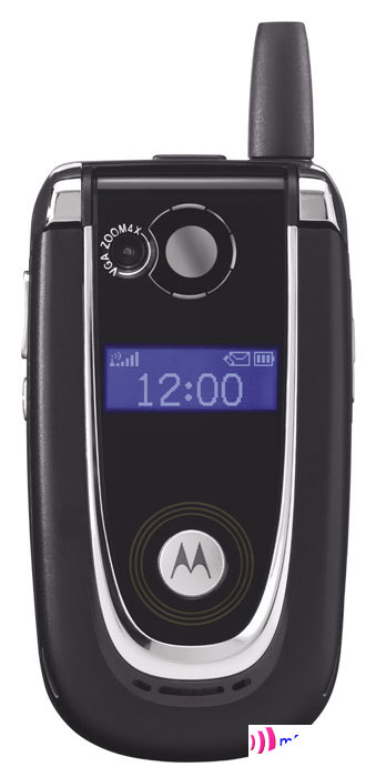   Motorola 