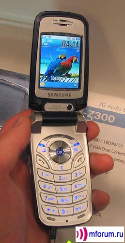 Samsung SGH-Z300