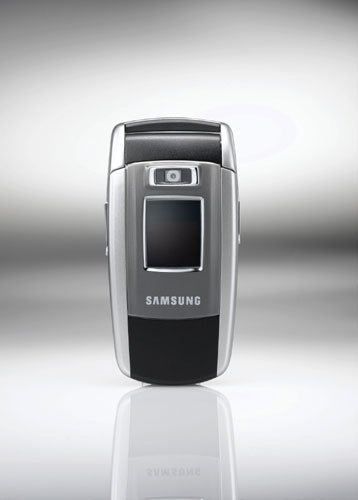 Samsung SGH-Z500