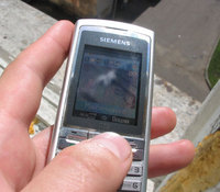    Siemens C75