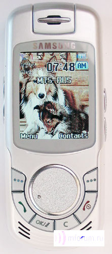    Samsung SGH-X810