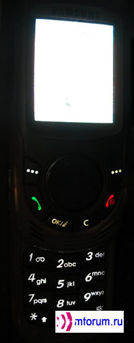    Samsung SGH-X810