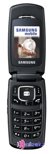    Samsung SGH-X210