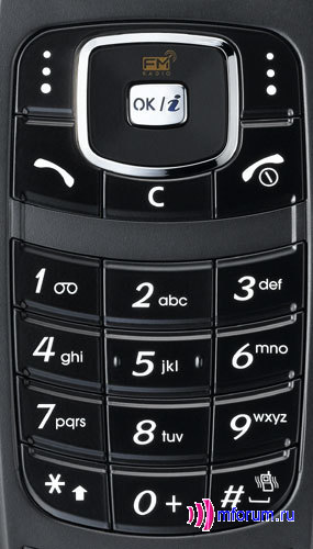    Samsung SGH-X210